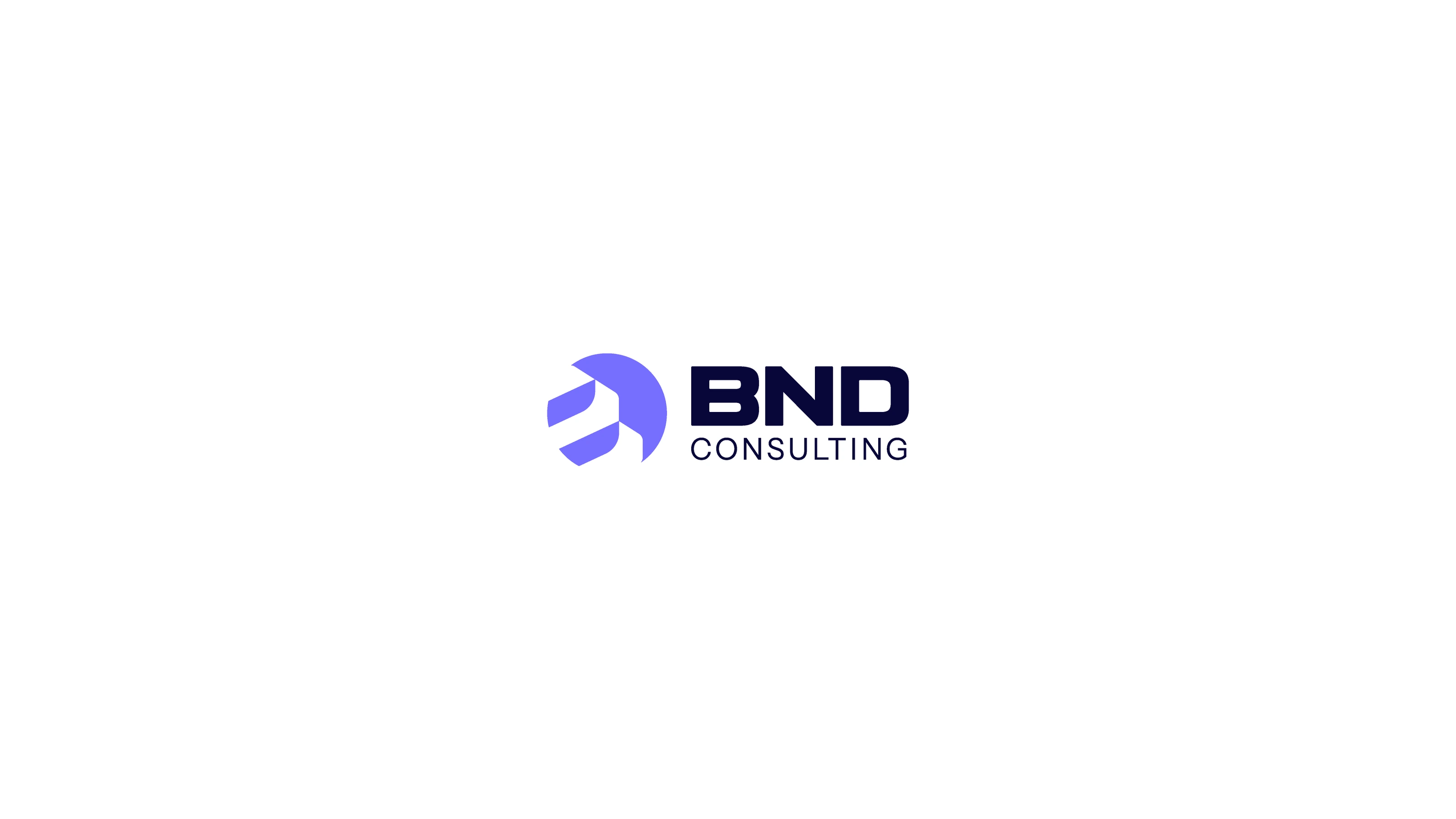 BND Consulting — brand application