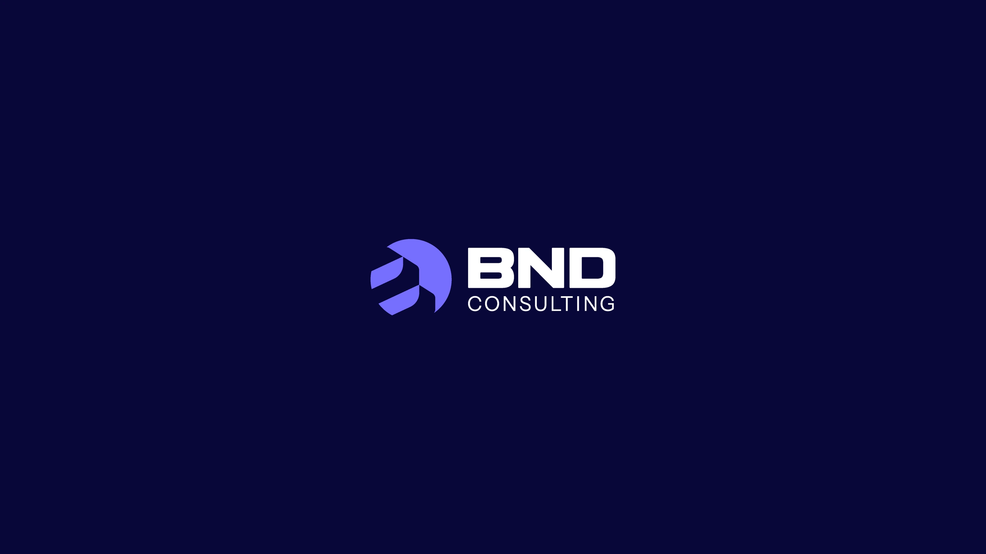 BND Consulting — brand application