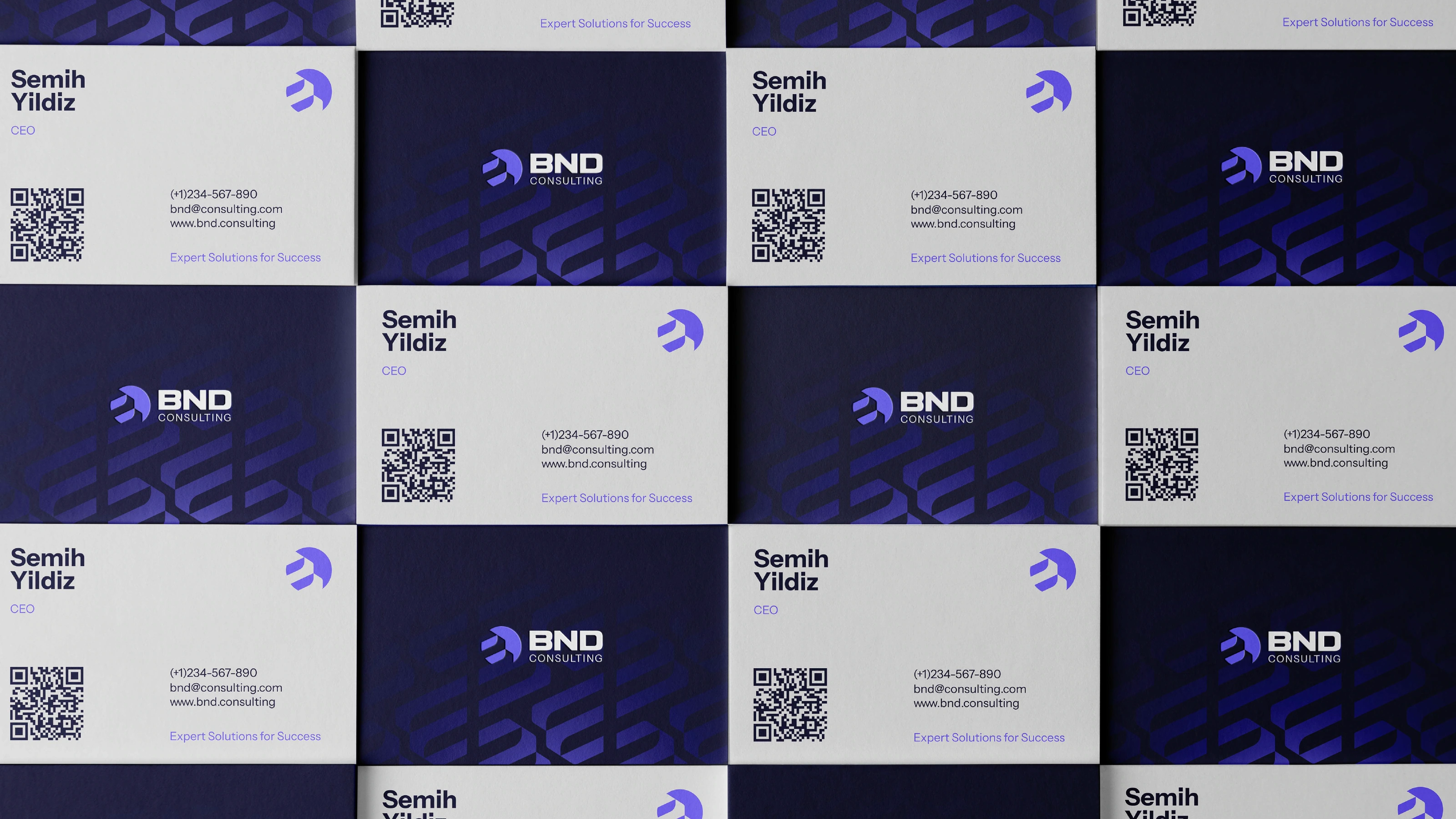 BND Consulting — brand application